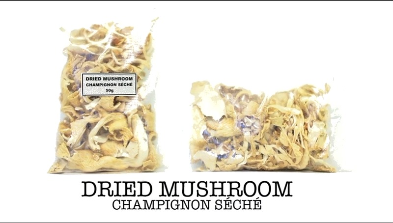 Dried Mushroom